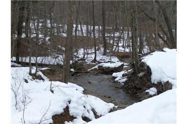 Farm Property in Hampshire County, West Virginia