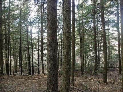 Ranch Property in Warren County, New York