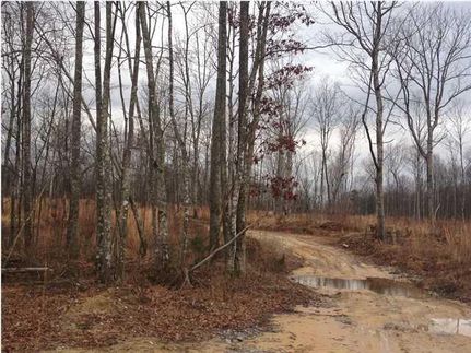 Farm Property in Grundy County, Tennessee