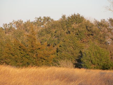 Farm Property in Colorado County, Texas