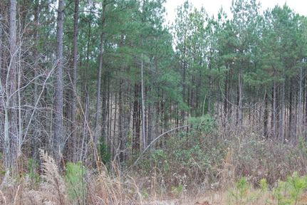 Property in Cherokee County, South Carolina