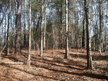 Property in Dooly County, Georgia