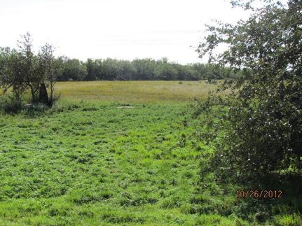 Farm Property in Taylor County, Texas