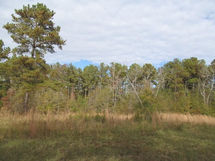 Farm Property in Lowndes County, Alabama