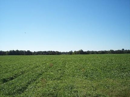 Ranch Property in Lee County, Georgia
