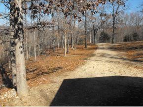 Farm Property in McDonald County, Missouri