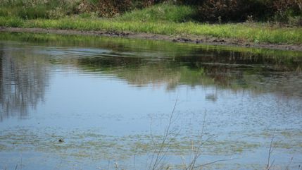 Ranch Property in Milam County, Texas