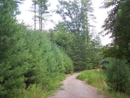 Ranch Property in Grayson County, Virginia