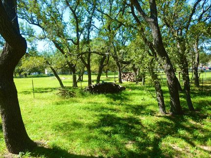 Farm Property in Atascosa County, Texas