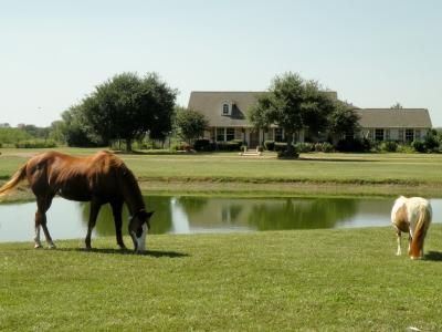 Property in Waller County, Texas
