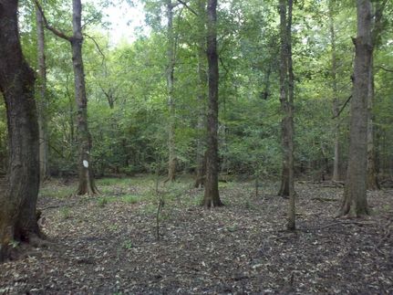 Farm Property in Lincoln Parish, Louisiana