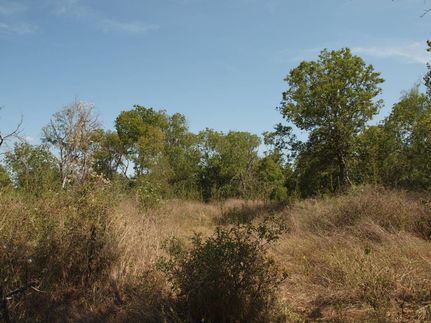 Ranch Property in Caldwell County, Texas