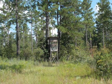 Farm Property in Wayne County, Georgia