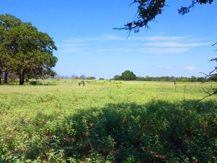 Farm Property in Freestone County, Texas
