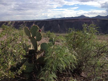 Property in Sierra County, New Mexico