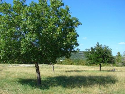 Ranch Property in Uvalde County, Texas
