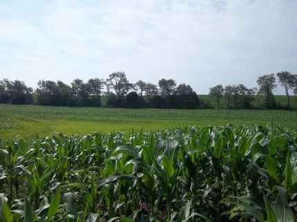 Ranch Property in Dauphin County, Pennsylvania