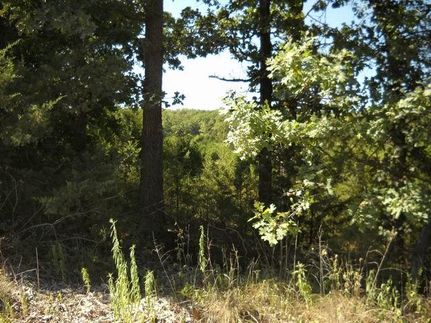 Ranch Property in Hickory County, Missouri