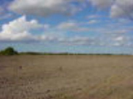 Ranch Property in Hidalgo County, Texas
