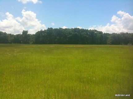 Farm Property in Marion County, Florida