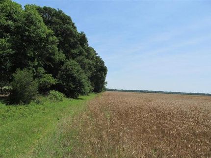 Farm Property in Autauga County, Alabama