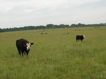 Farm Property in Monroe County, Georgia