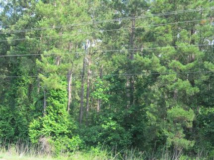 Ranch Property in Horry County, South Carolina