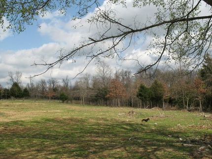 Ranch Property in Howell County, Missouri
