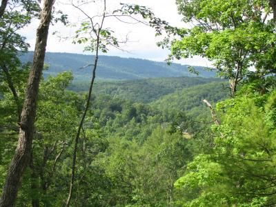 Farm Property in Hampshire County, West Virginia