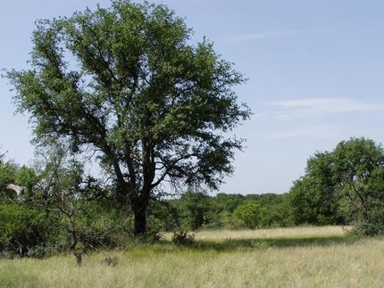 Farm Property in Concho County, Texas