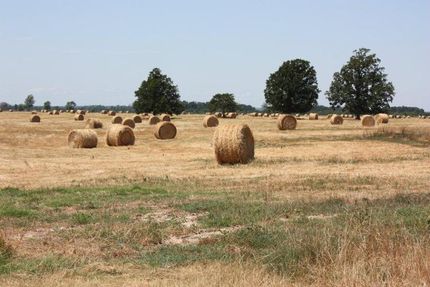Farm Property in Miller County, Arkansas