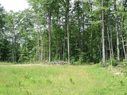 Farm Property in Vilas County, Wisconsin