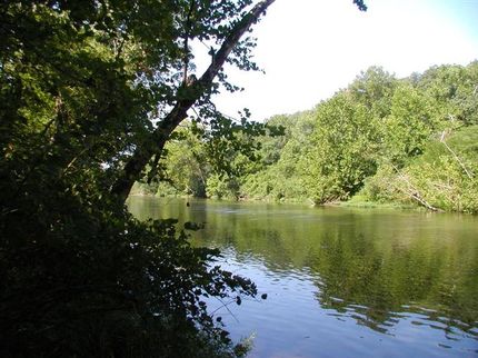 Undeveloped Land in Taney County, Missouri