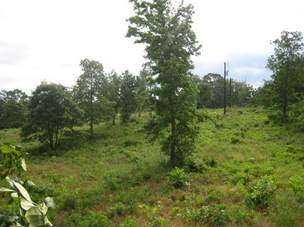 Farm Property in Freestone County, Texas