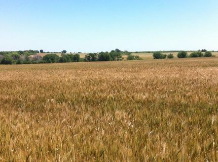 Farm Property in Hill County, Texas