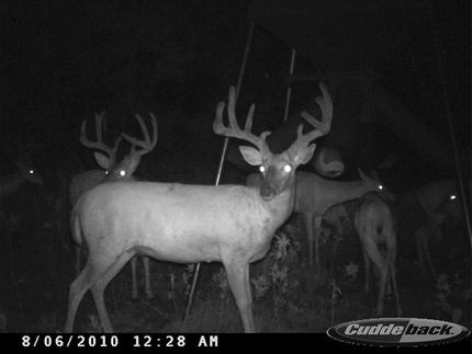 Farm Property in Archer County, Texas