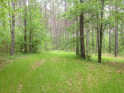 Farm Property in Hinds County, Mississippi