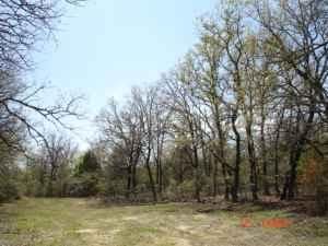 Farm Property in Leon County, Texas