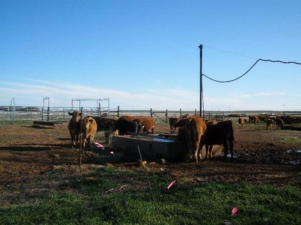 Farm Property in Haskell County, Texas