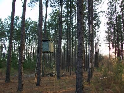 Property in Telfair County, Georgia