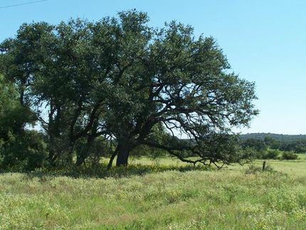 Property in Mason County, Texas