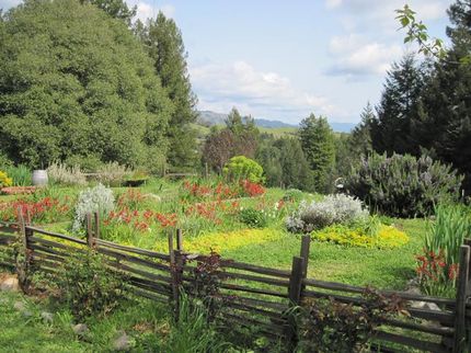 Farm Property in Mendocino County, California
