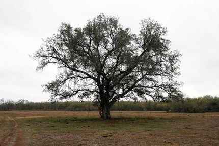 Farm Property in Caldwell County, Texas