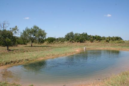 Property in Hidalgo County, Texas