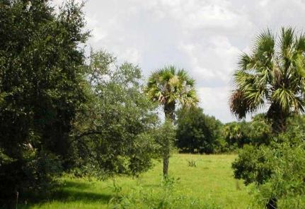 Ranch Property in Okeechobee County, Florida