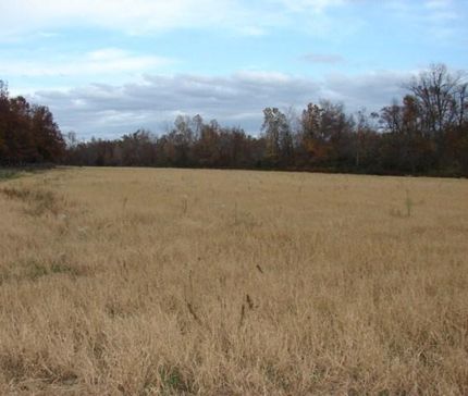 Farm Property in Graves County, Kentucky