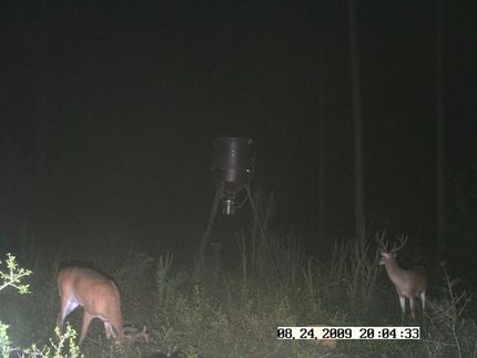 Farm Property in Lowndes County, Alabama