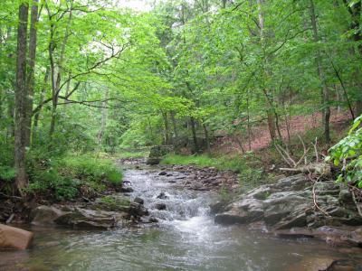 Farm Property in Hampshire County, West Virginia