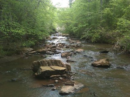 Property in Upson County, Georgia
