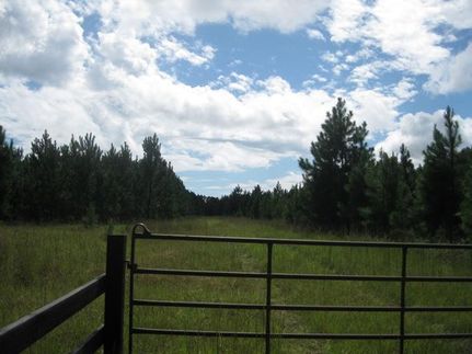 Farm Property in Colleton County, South Carolina